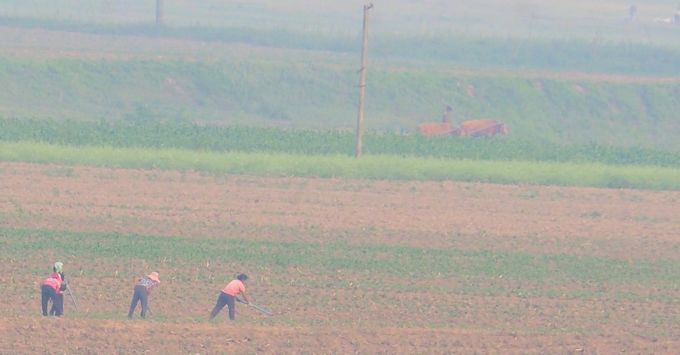 丹東　北朝鮮　農民