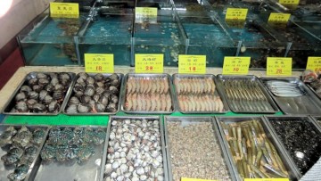 大連の海鮮料理の具材は生きたままのものが多い