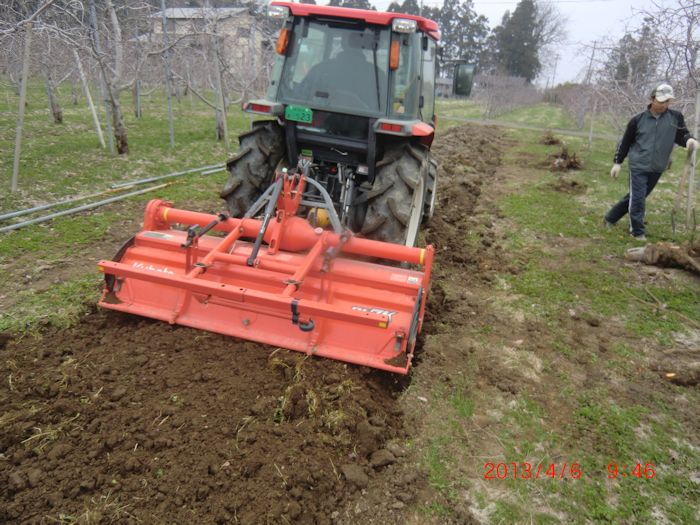 トラクターで掘り上げた畝幅に均一に撒きます。